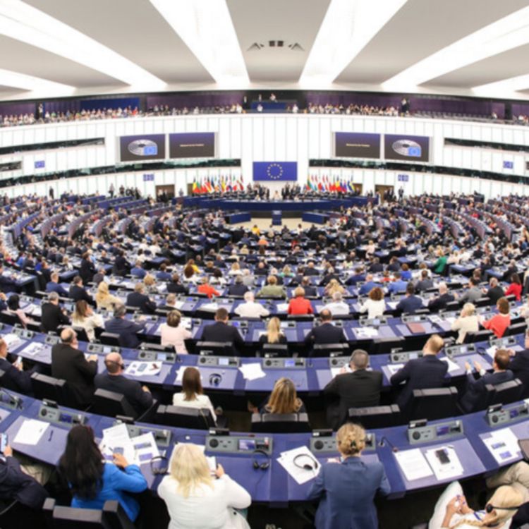 cover art for Irish MEPs Divided as Parliament Votes to Streamline Moving Asylum Aeekers to 'Third Countries' - 11/02/2026