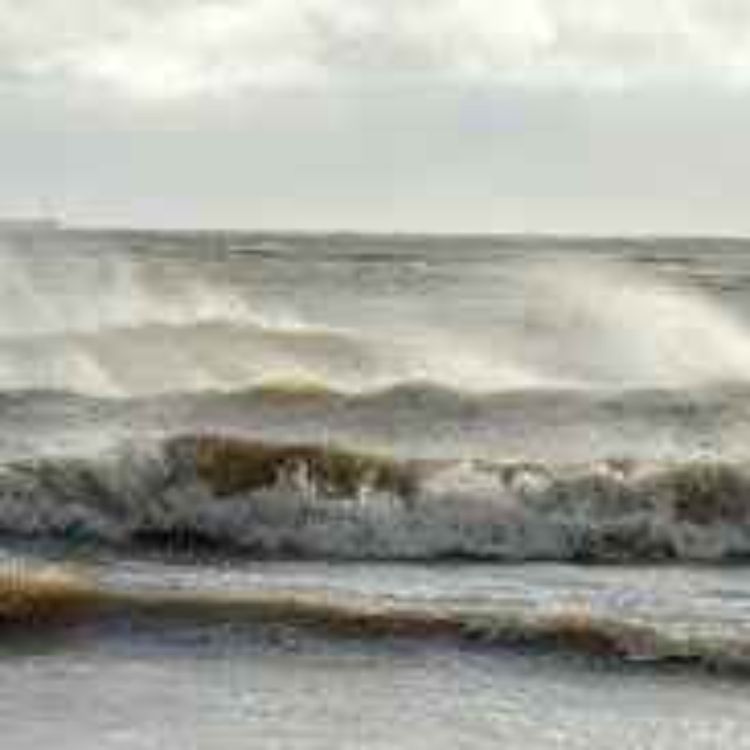 cover art for Storm Damage Repair Bill in Louth Hits €1.2m as Council Seeks Emergency Funding - 12/02/2026