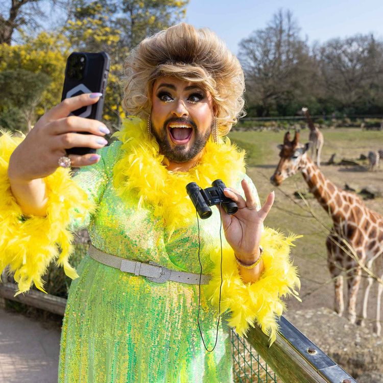 cover art for Row Erupts Over Use of 'Drag Queen' in Dublin Zoo Mothers Day Advertising Campaign - 09/03/2026