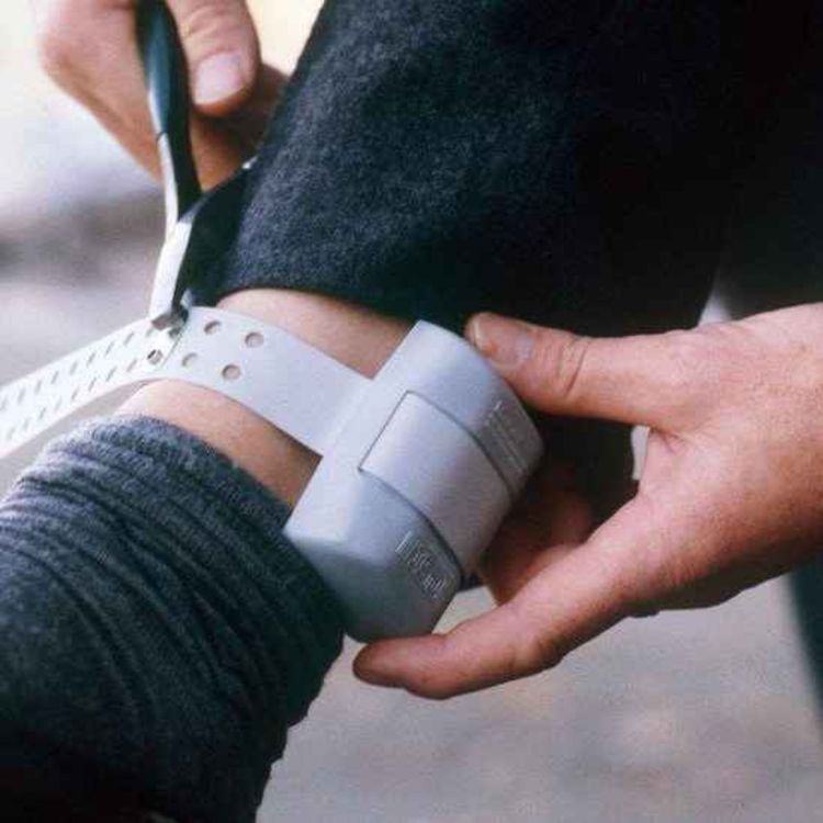 cover art for Minister’s Plans for Electronic Tagging of Prisoners Faces Fresh Delays - 18/03/2026