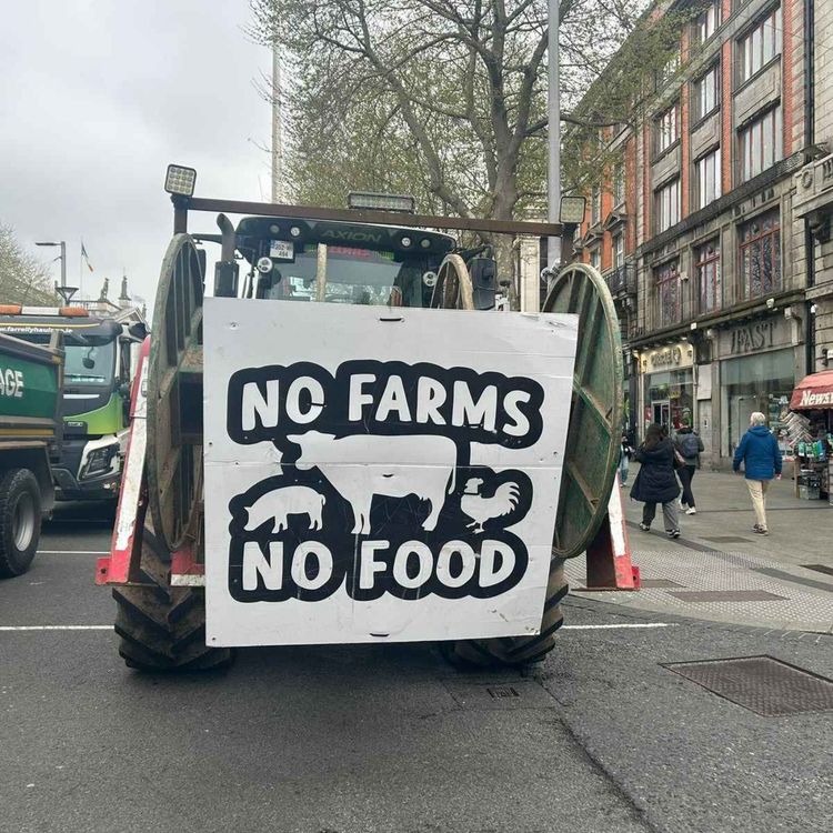 cover art for Dundalk Protester Tells LMFM "We Won't Stand Down Until We Get What We Are Looking For" - 09/04/2026