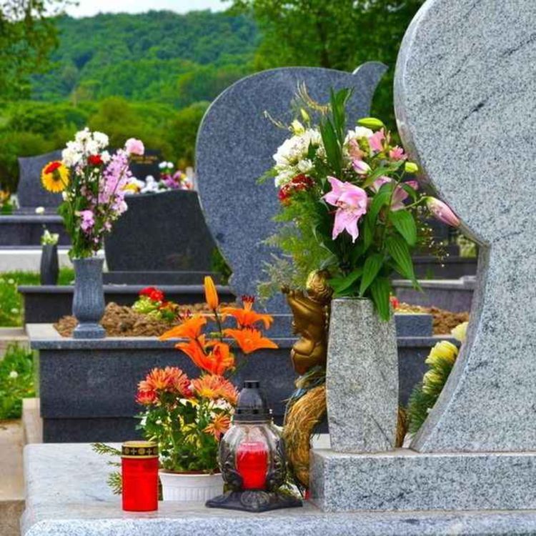 cover art for Concerns Raised as Cemetery Bye-Laws Adopted in Meath - 21/05/2026