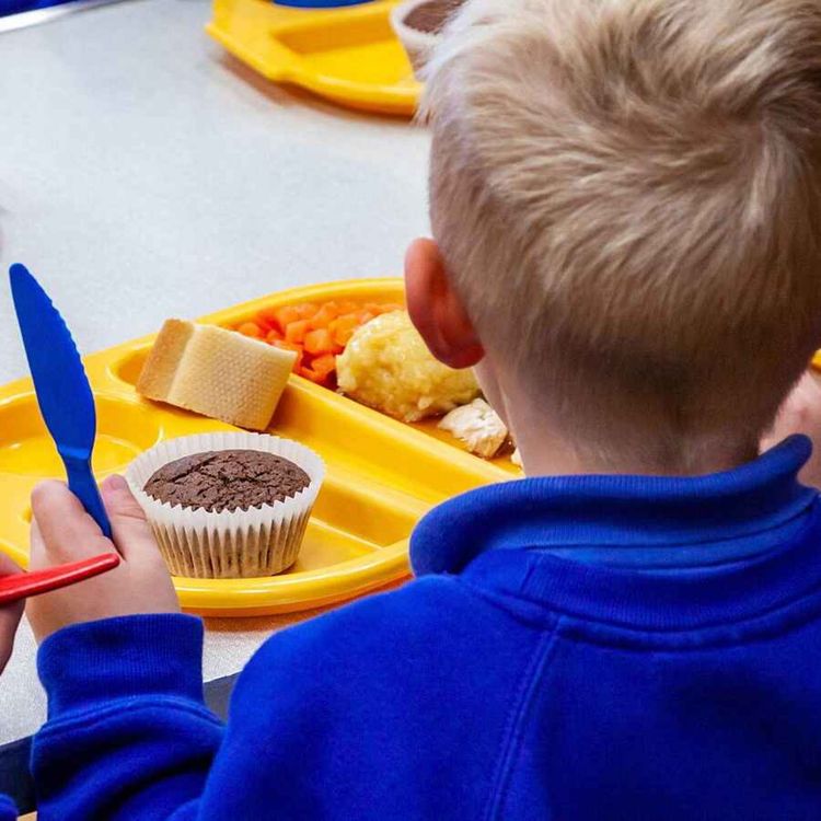 cover art for “Holiday Hunger Programme for School Kids Must be Made Permanent”, Says Meath-Based Senator