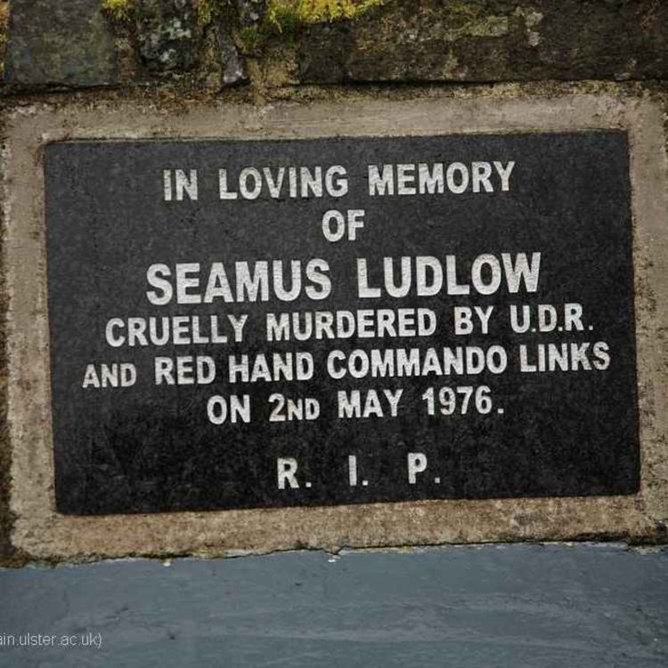 cover art for Renewed Calls for Action on Dundalk Man Seamus Ludlow Murder 50 Years On  - 02/06/2025
