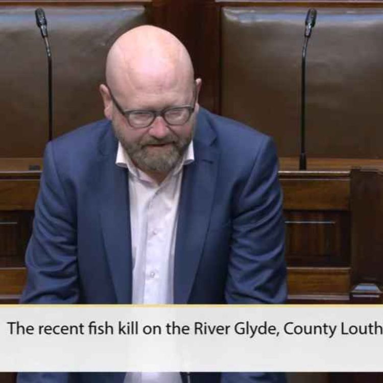 cover art for Louth TD Calls for Tougher Penalties Following River Glyde Fish Kill - 16/06/2026