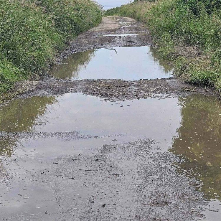cover art for Access Road to Secluded Beach in East Meath an ‘Accident Waiting to Happen’ - 01/07/2026