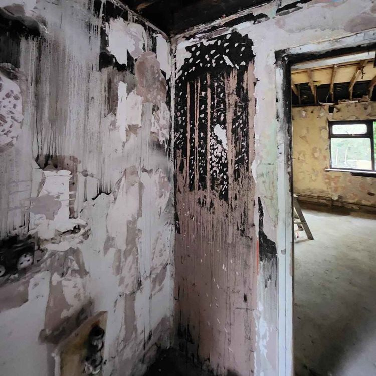 cover art for Ashbourne Family Left With Nothing After Devastating Blaze