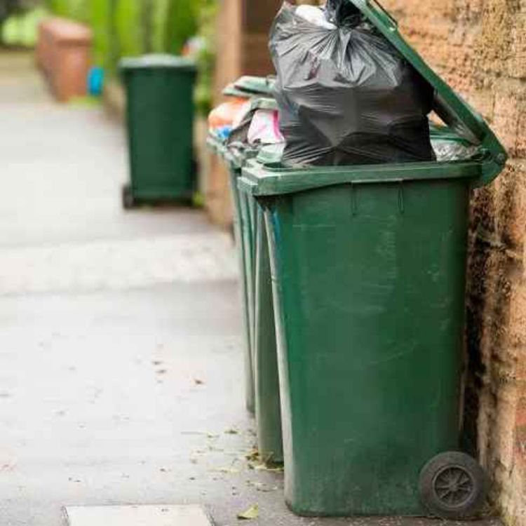 cover art for Louth Councillor Warns That Free Bins Could Push Up Bills - 06/08/2026