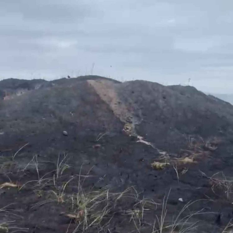 cover art for Fresh Fire at Bettystown Beach Dunes Sparks Renewed Concern - 10/08/2026