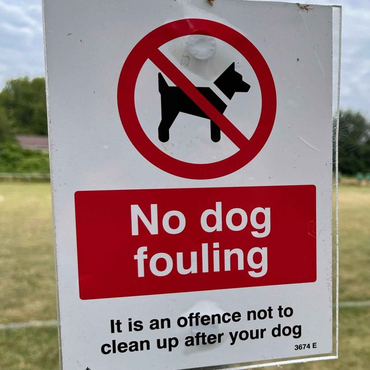 cover art for Calls for Tougher Enforcement of Dog Fouling Laws as Vision Ireland Launches Campaign - 01/10/2026