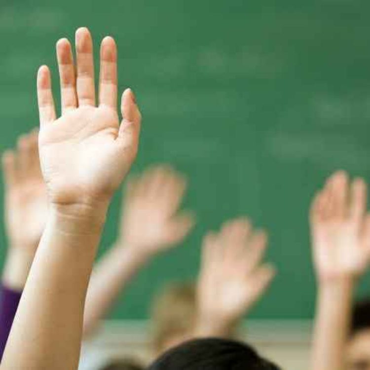 cover art for Meath-East TD Warns of Risks in Removing Diagnosis Requirement for Special School Places - 28/10/2026