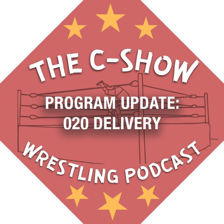 cover art for PROGRAM UPDATE: 020 DELIVERY