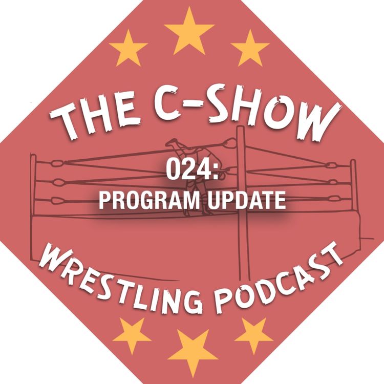 cover art for 024 - Program Update