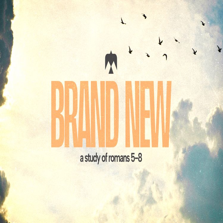 cover art for Brand New: Wk 1 - A New Standing
