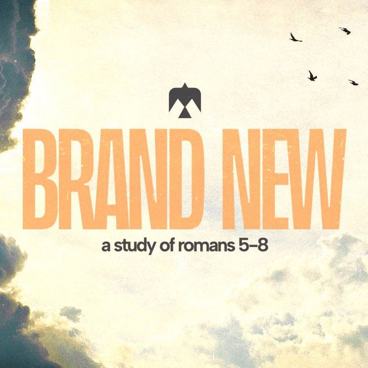 cover art for A New Identity | James Grogan