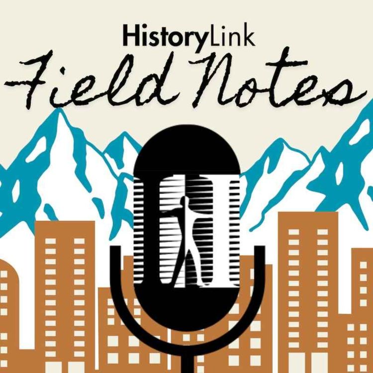 cover art for Bonus: The Musical Castle