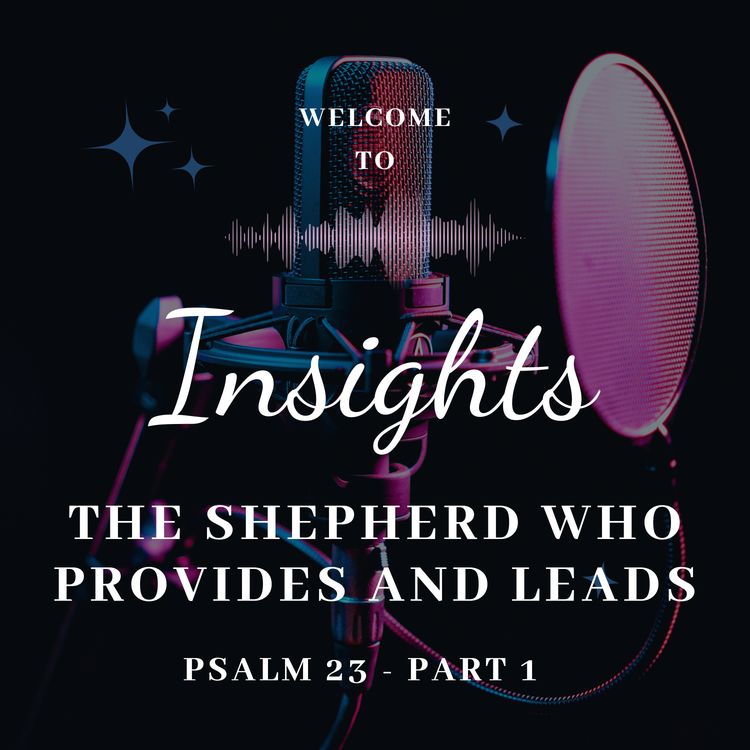 cover art for The Shepherd Who Provides and Leads