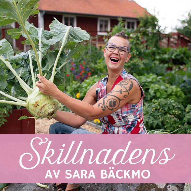 cover art for Sorken har ätit upp min kvitten!