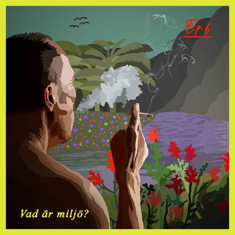 cover art for Vad är miljö?