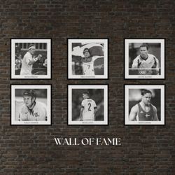 cover art for WALL OF FAME