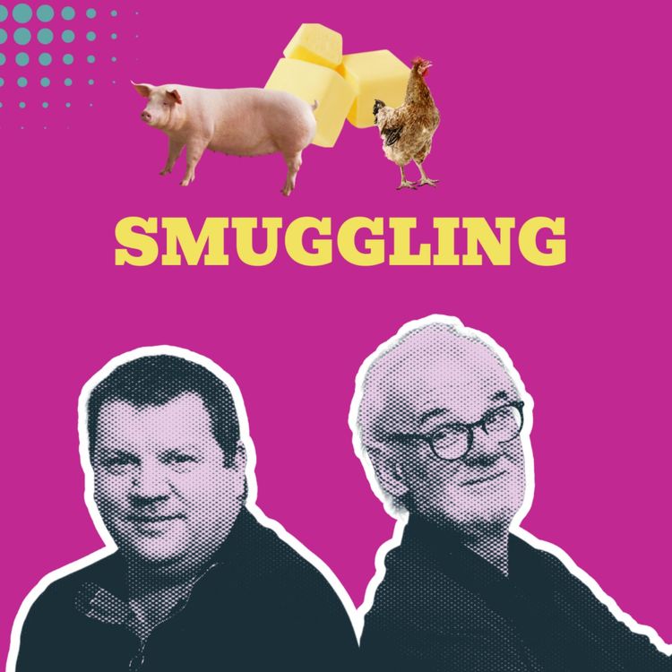 cover art for Ireland's Customs Barriers & Chaos: The 11-Plus Exam Scandal and 70 Years of Irish Partition