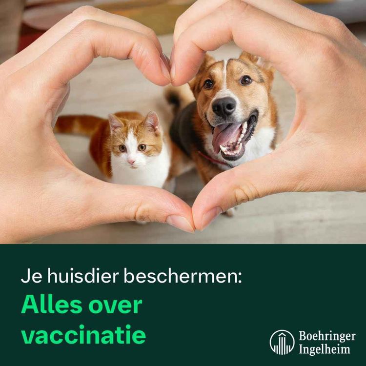 cover art for Je huisdier beschermen : alles over vaccinatie