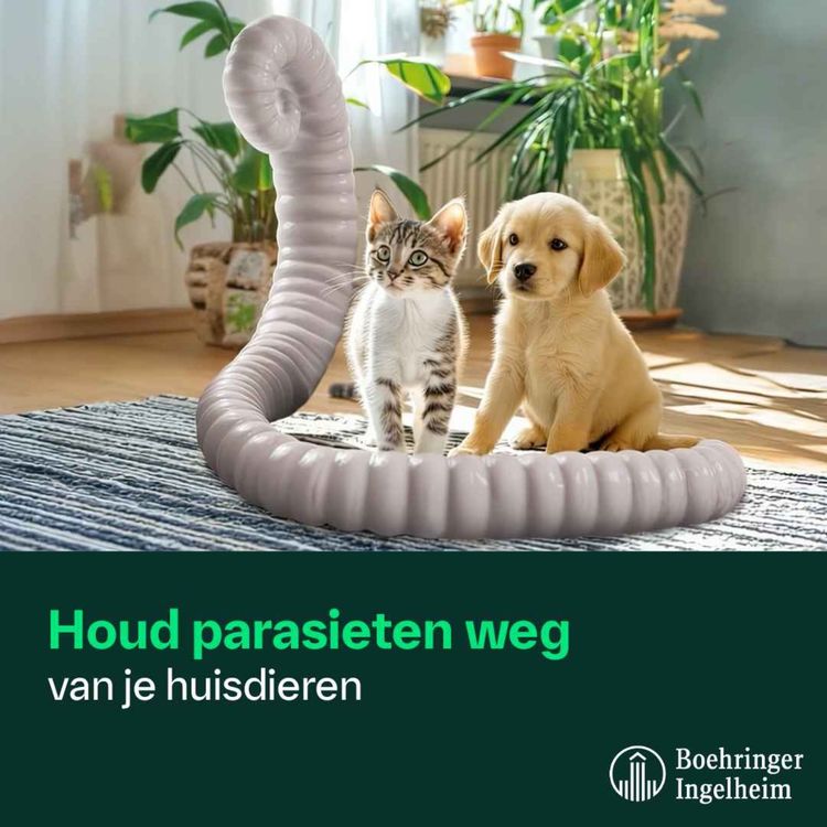 cover art for Houd parasieten weg van je huisdieren
