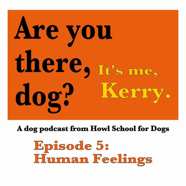 cover art for Human Feelings