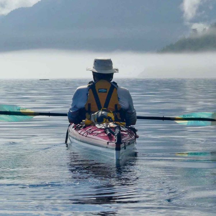 cover art for Solitude and Shadows