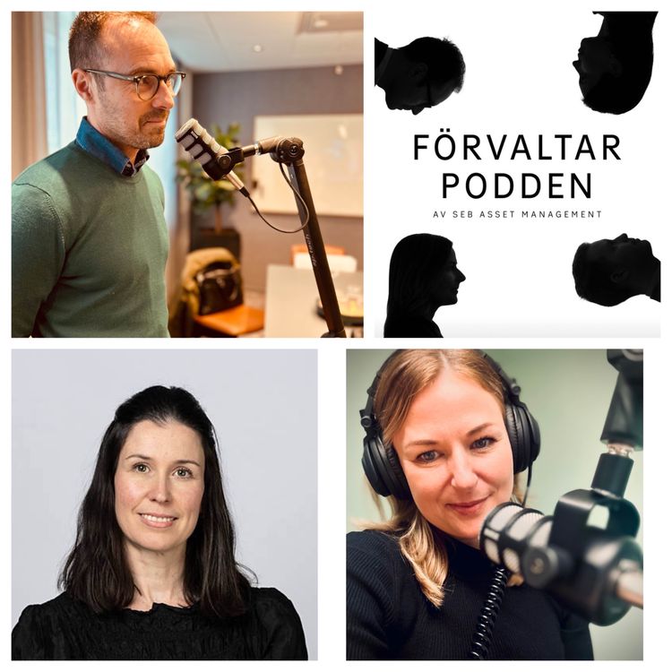 cover art for Trump tullar inte på tullarna