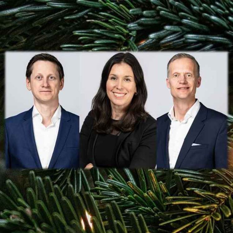 cover art for Fjärde advent: Svenska börsen, från storbolag till småbolag, året som gick och vägen framåt