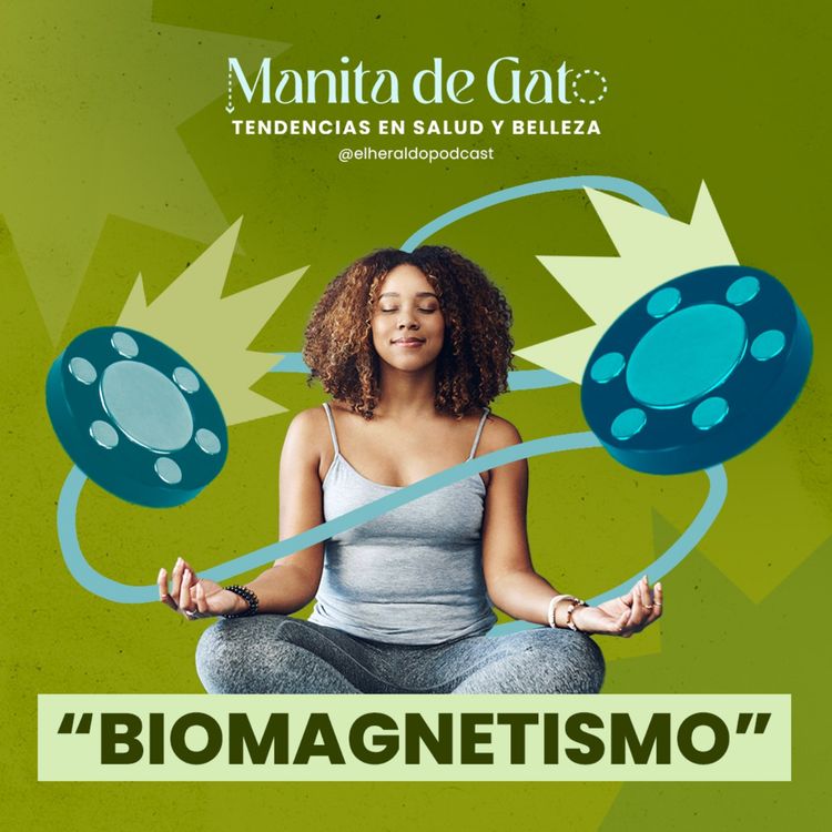 cover art for Desmitificando el BioMagnetismo