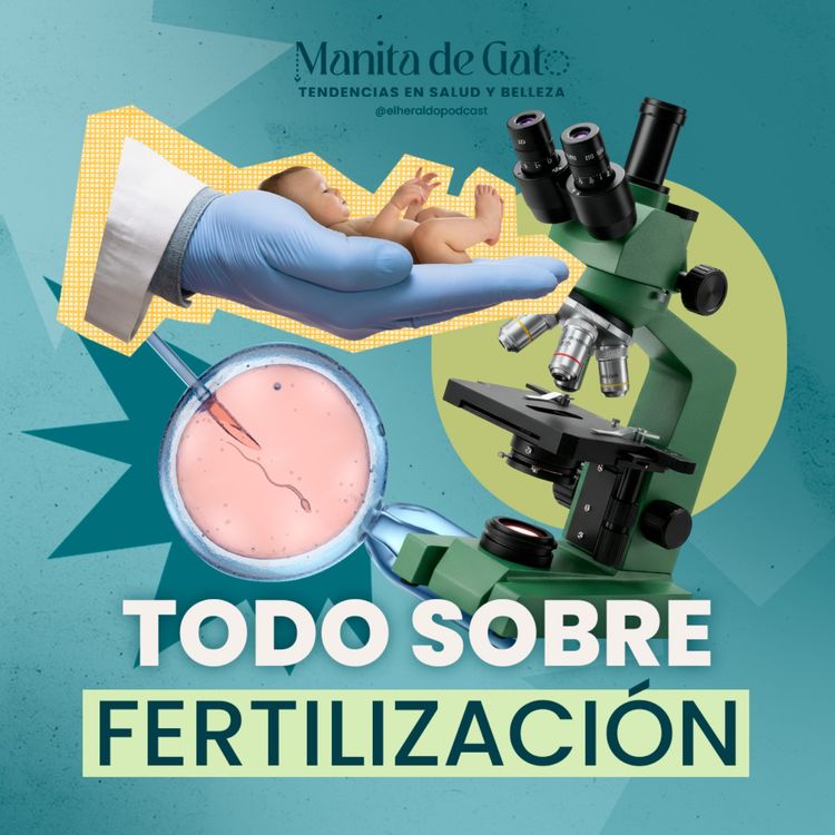 cover art for In vitro, congelar óvulos y más: lo que debes saber sobre los tratamientos actuales