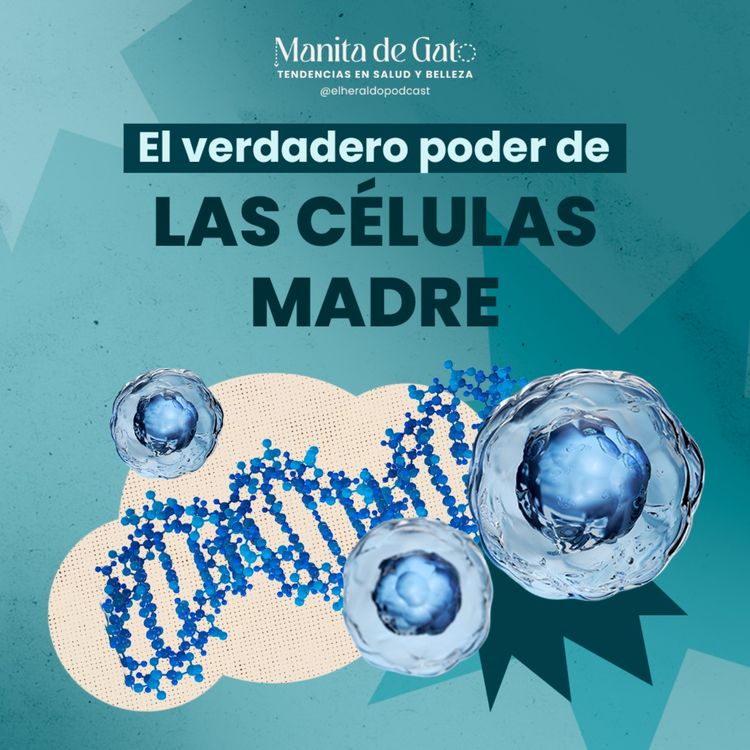 cover art for Células madre: ¿milagro médico o mito moderno?