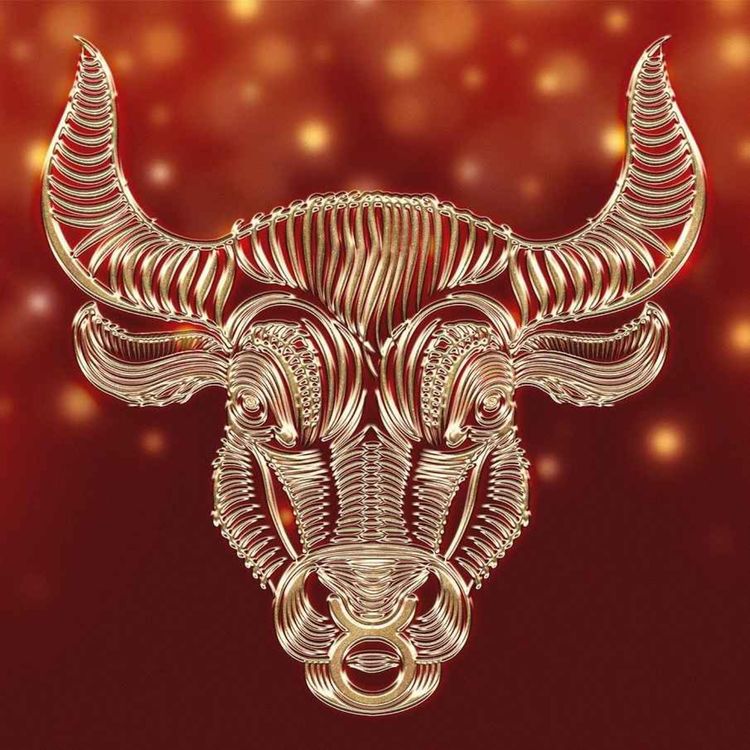 cover art for Le signe du taureau en maison astrologique