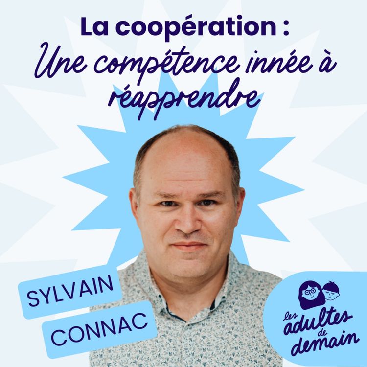 cover art for [MOMENT-CLÉ] NON au travail de groupe, OUI au travail en groupe - Sylvain Connac
