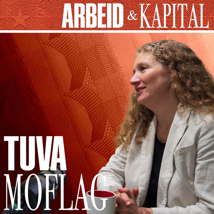 cover art for Statsbudsjettet fra innsiden – med Tuva Moflag