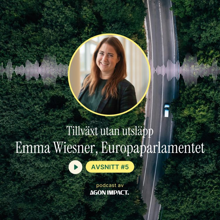 cover art for Emma Wiesner: Ta plats vid bordet – var inte en expertkommentator