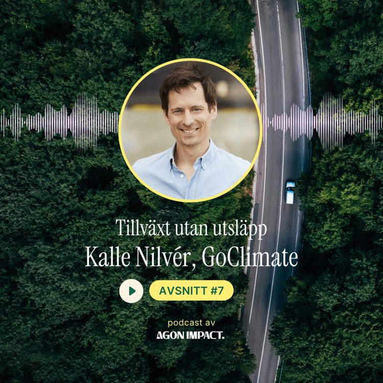 cover art for Kalle Nilvér: Vi åker i 200 km/h rakt mot stupet - hur vänder vi?