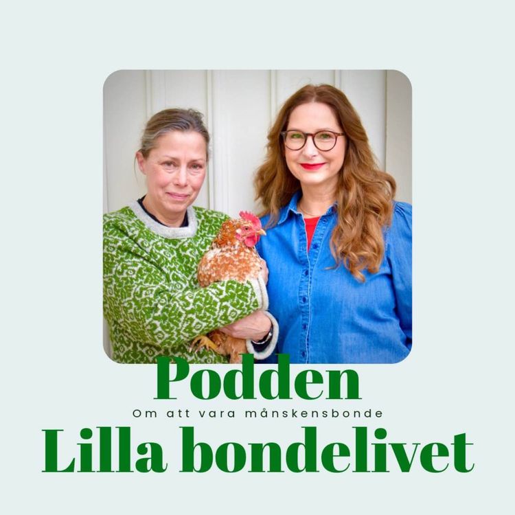 cover art for Trädgårdskalender november