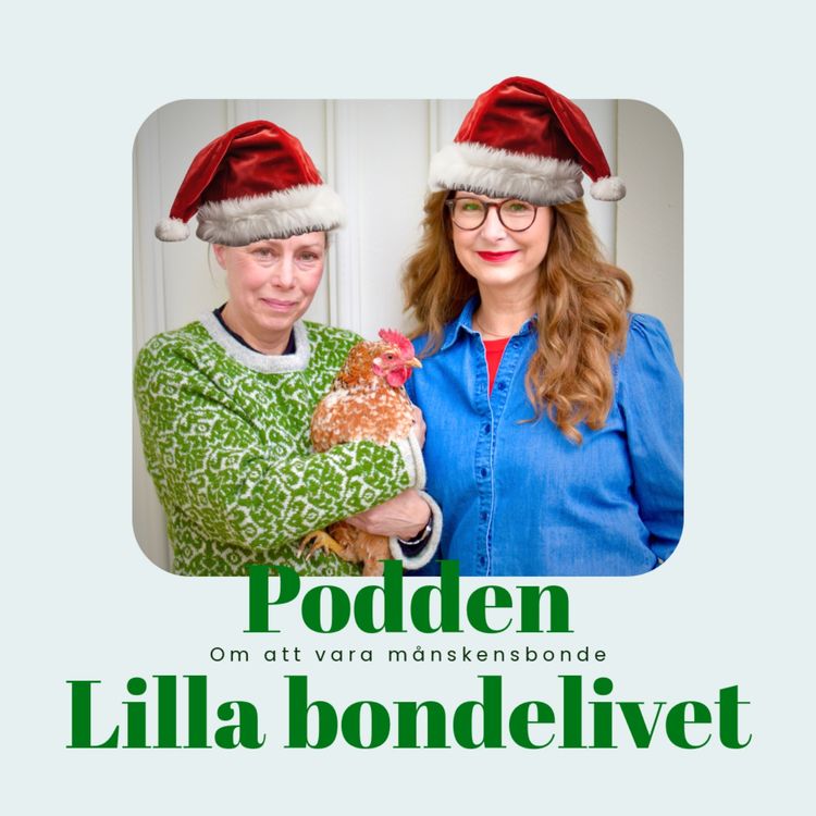 cover art for Julspecial