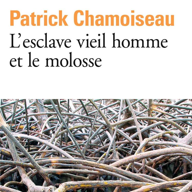 cover art for L’esclave vieil homme et le molosse, Patrick Chamoiseau