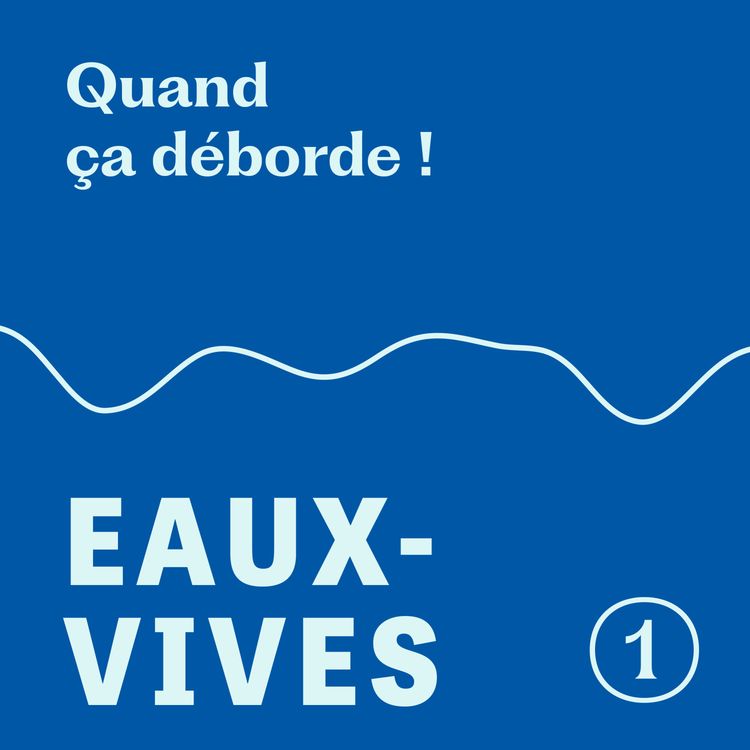 cover art for Épisode 1/4 - Quand ça déborde !