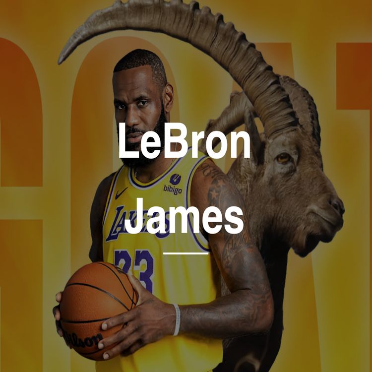 cover art for LeBron James