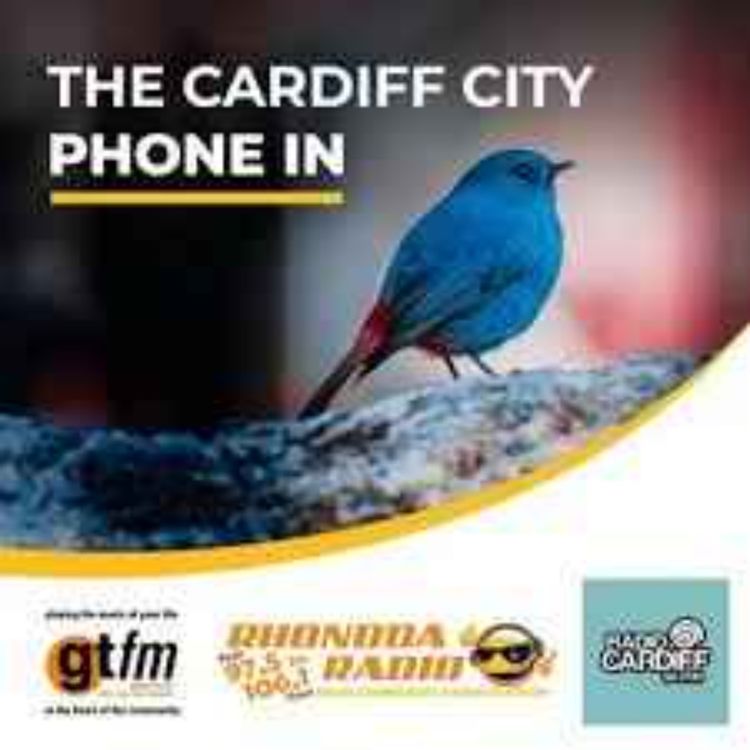cover art for Cardiff City Phone In - 31st March