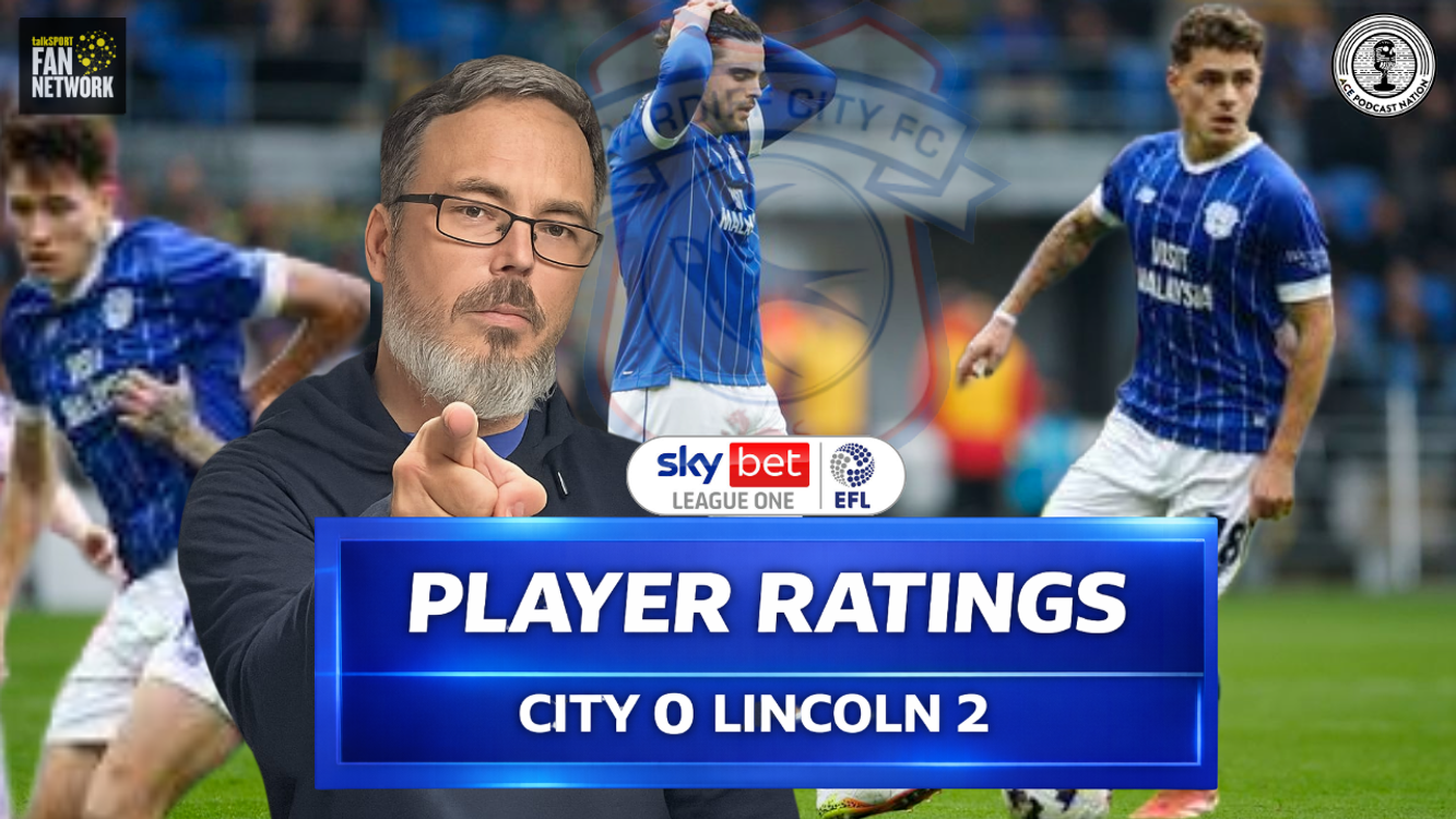 cover art for Bad Day at Office for Bluebirds | Player Ratings City 0 Lincoln 2