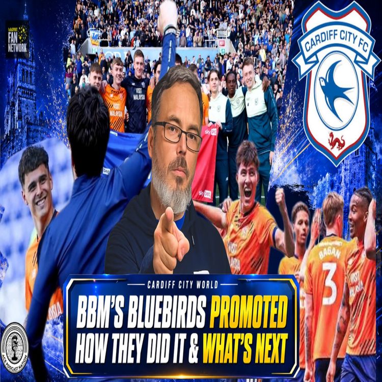 cover art for Relegation to Promotion, Shambles to Ecstacy by Si1927