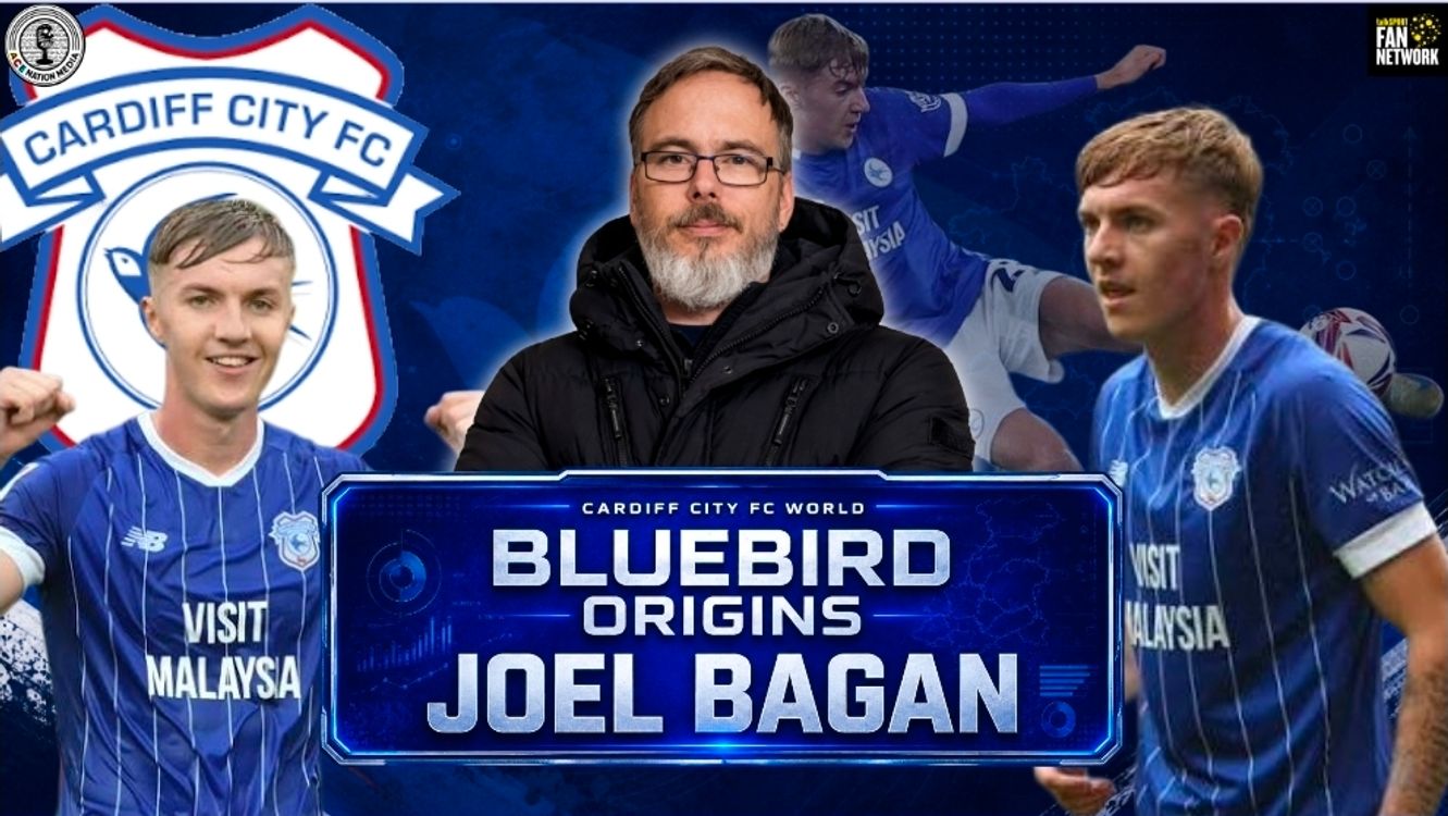 cover art for NEW Bluebirds Origins: Joel Bagan