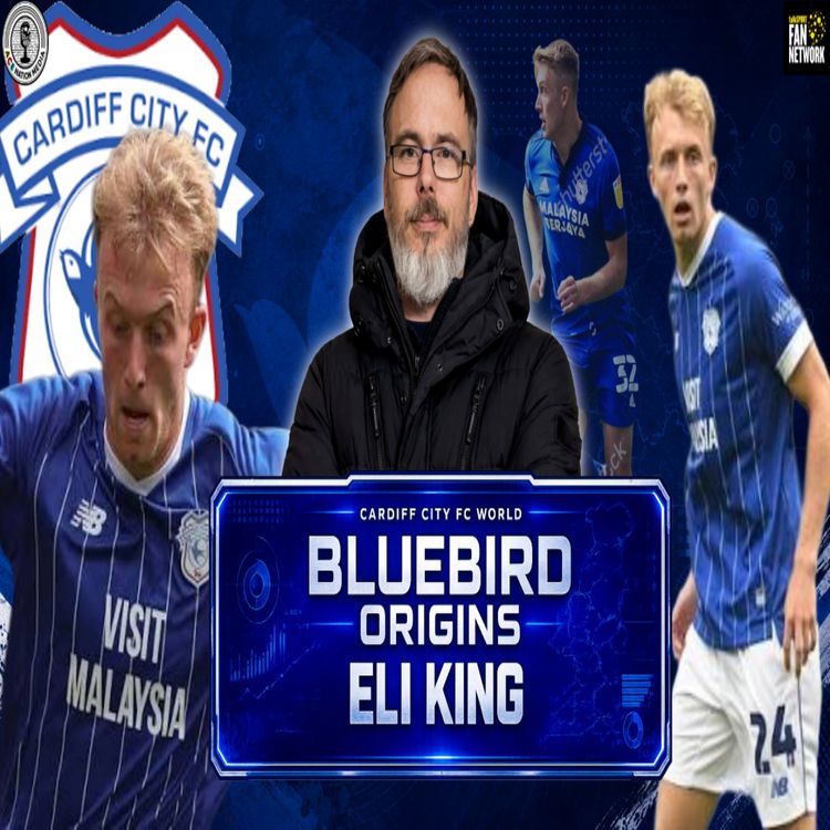 cover art for The COMEBACK is the best part | Bluebirds Origin: Eli King