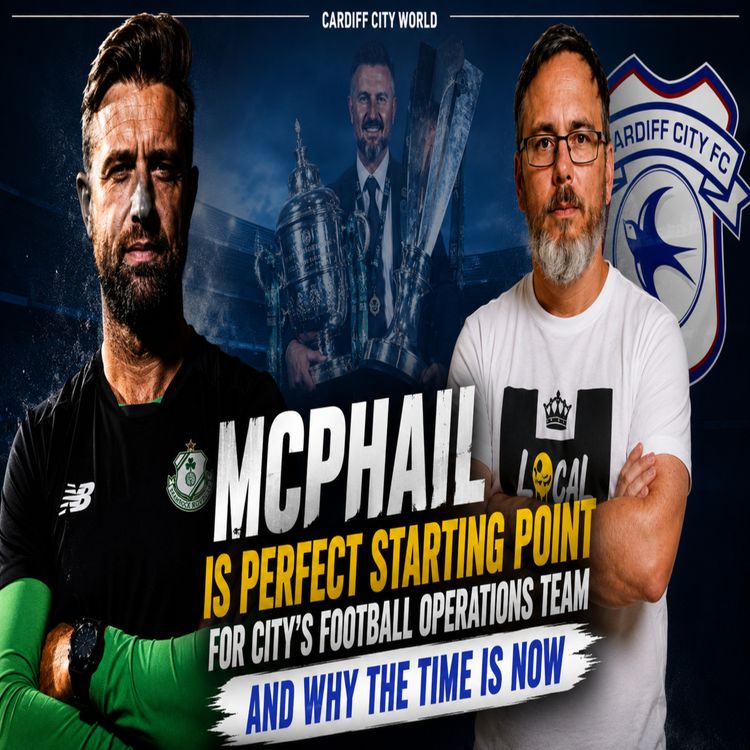 cover art for Is Stephen Mchail perfect starting point? And WHY the time is NOW?
